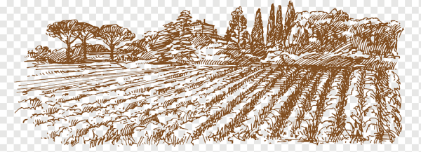 Пшеничное поле зимой вектор