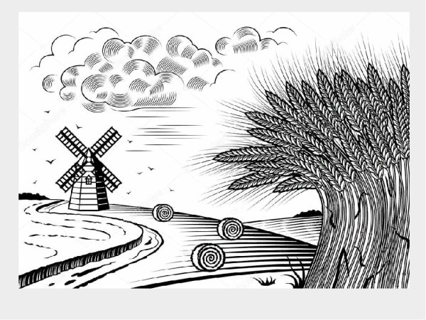 Поле Графика