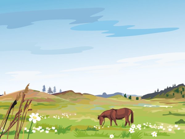 Степь рисунок