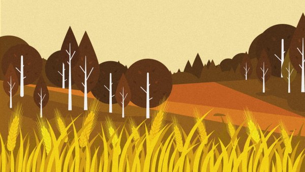 Мультяшное поле пшеницы