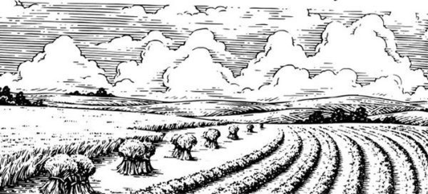 Поле гравюра