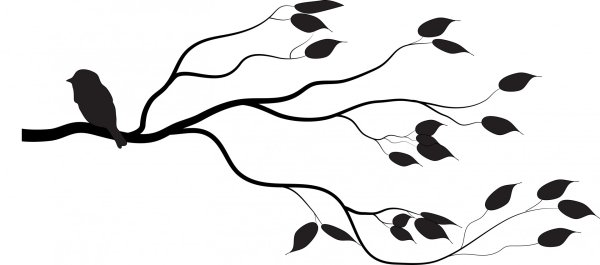 Ветка дерева силуэт