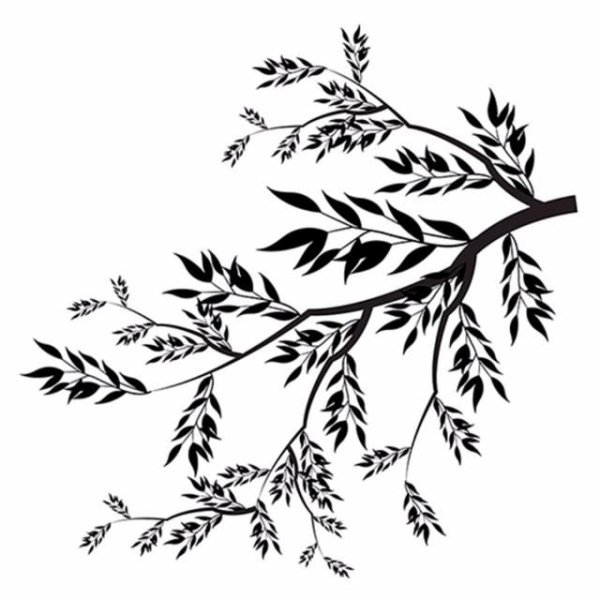 Ветка силуэт