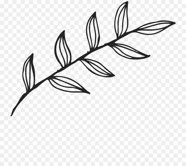 Веточка нарисованная