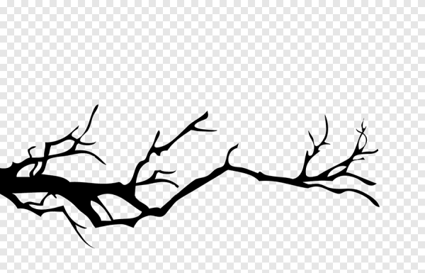 Ветка силуэт
