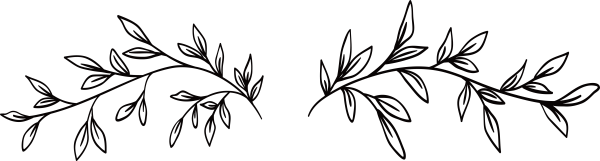 Ветка с листьями вектор