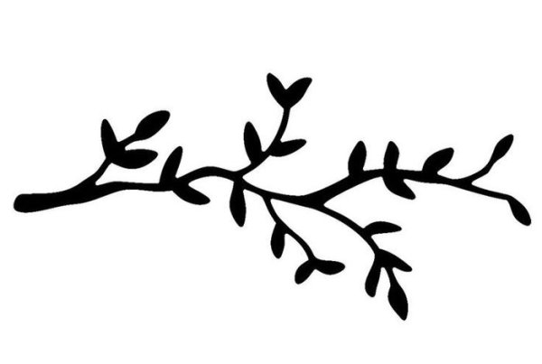 Ветка силуэт