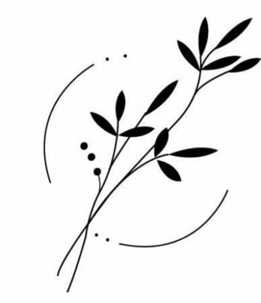 Веточка черно белая