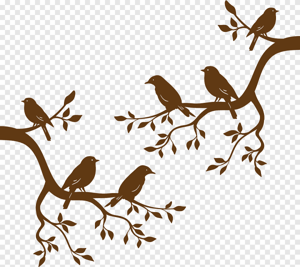 Птички на ветке силуэт