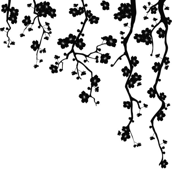 Ветка Сакуры трафарет