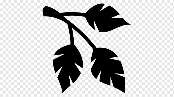 Силуэт веточки с листьями