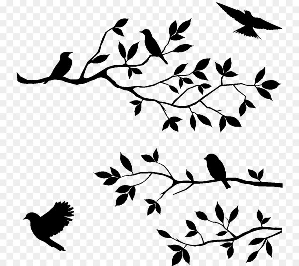 Силуэты птиц на фоне