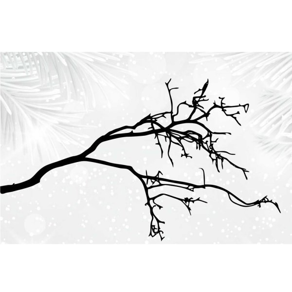 Ветка без листьев