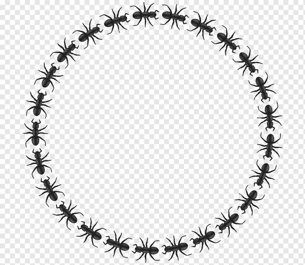 Круглая рамка