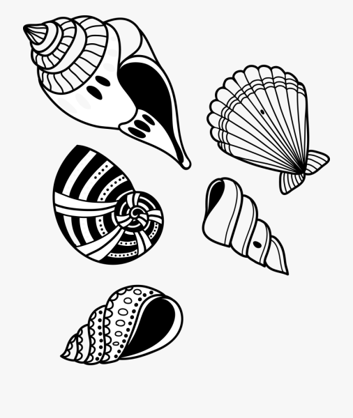 Стилизация ракушки