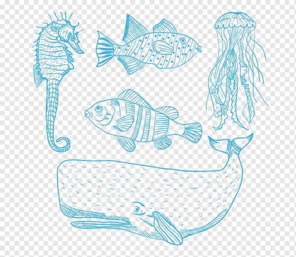 Графическое изображение морских обитателей
