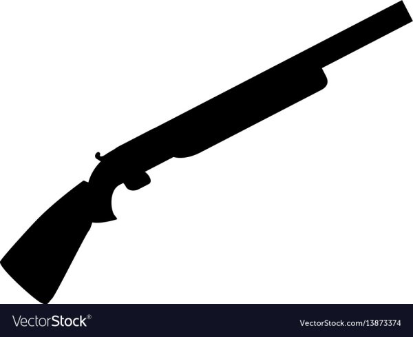 Векторное ружье