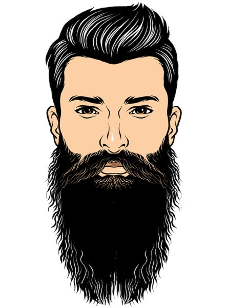 Стилизованная борода