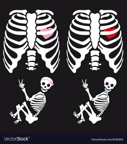 Векторный скелет