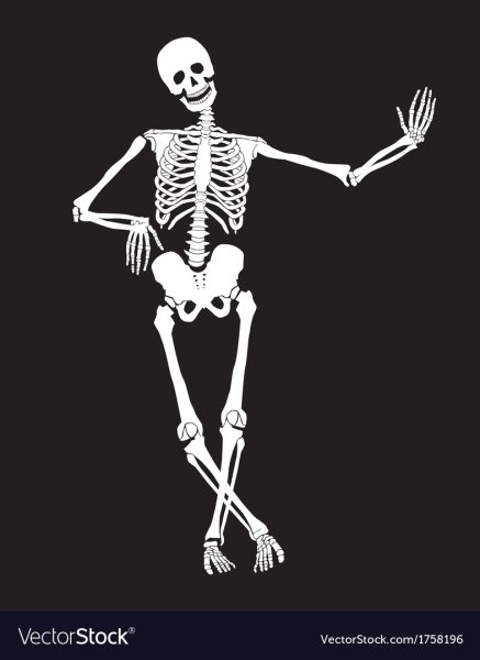 Чёрный фон кости человеческие