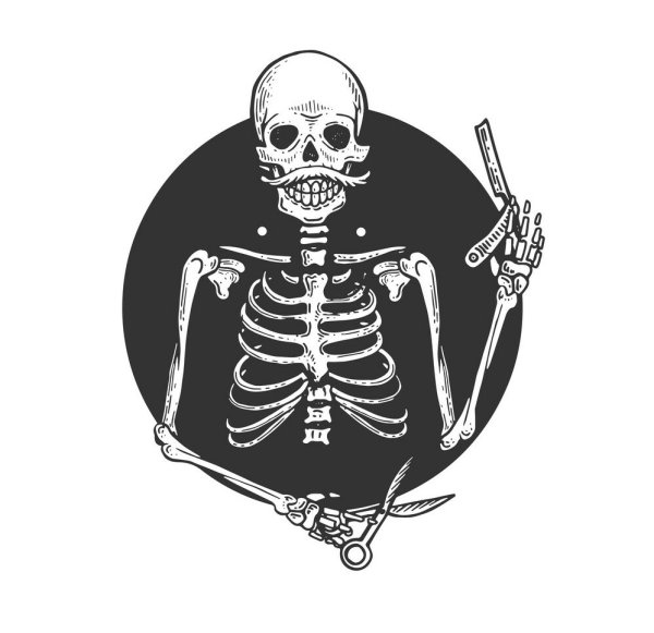 Векторный скелет