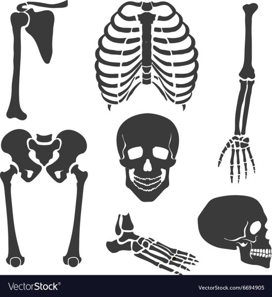 Стилизованный скелет