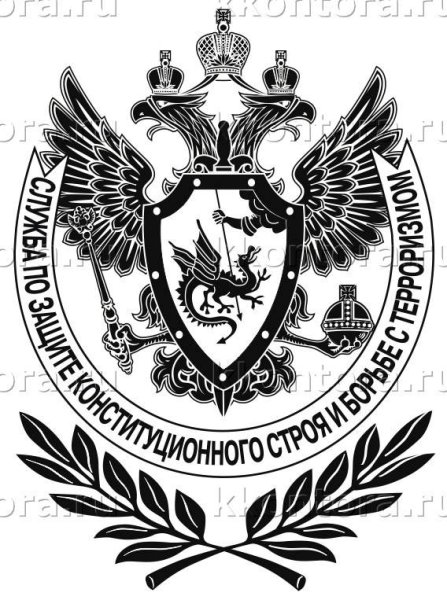 Служба по защите конституционного строя и борьбе с терроризмом ФСБ