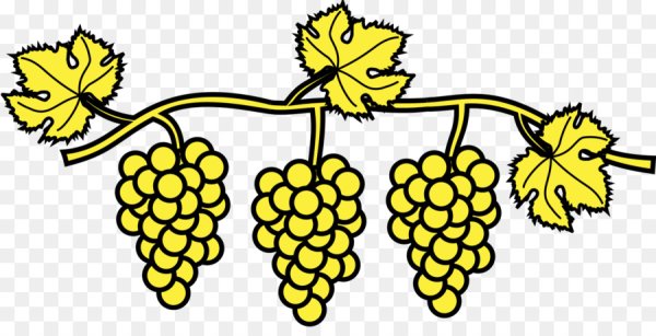 Лоза Виноградная листья вектор