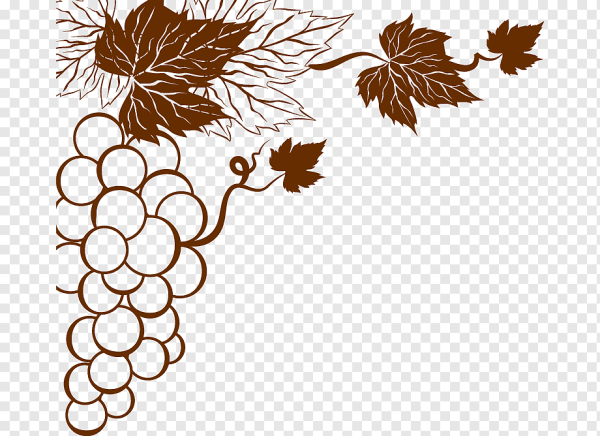 Виноград вектор