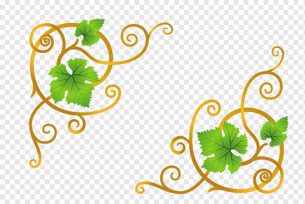 Орнамент из виноградной лозы