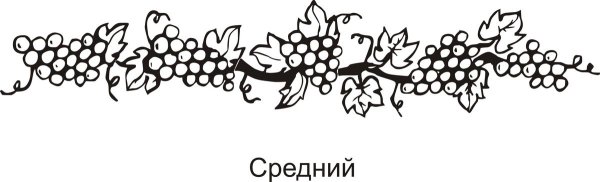 Орнамент виноград