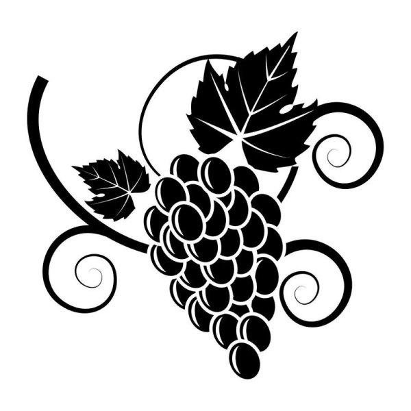 Орнамент виноград