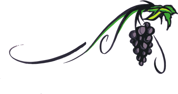 Ветвь винограда прозрачный фон