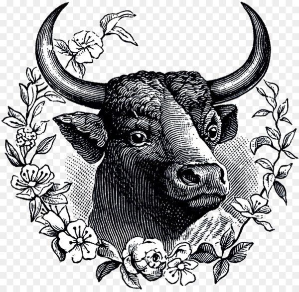 Изображение быка стилизованное