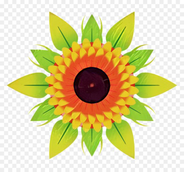 Цветы вектор