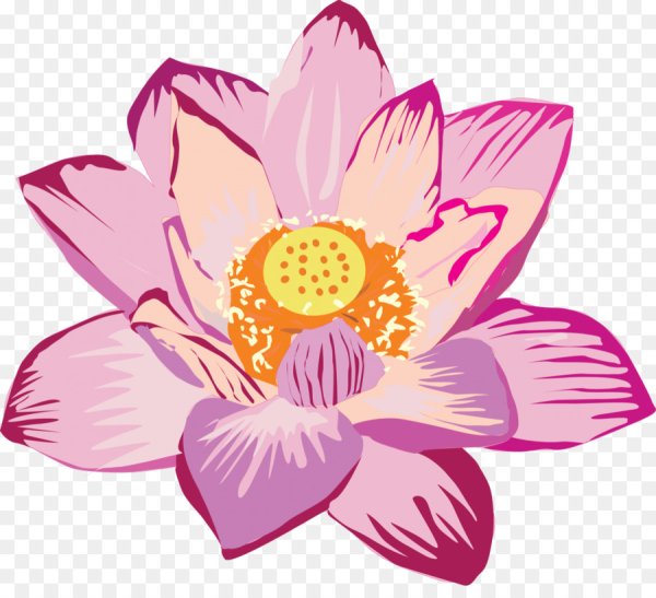 Лотос орехоносный