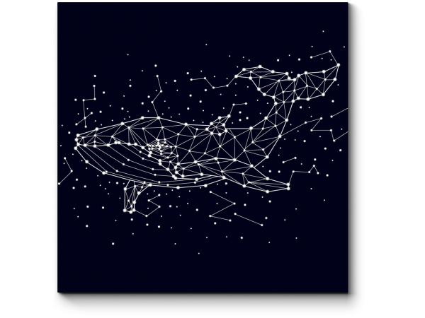 Кит Созвездие вектор