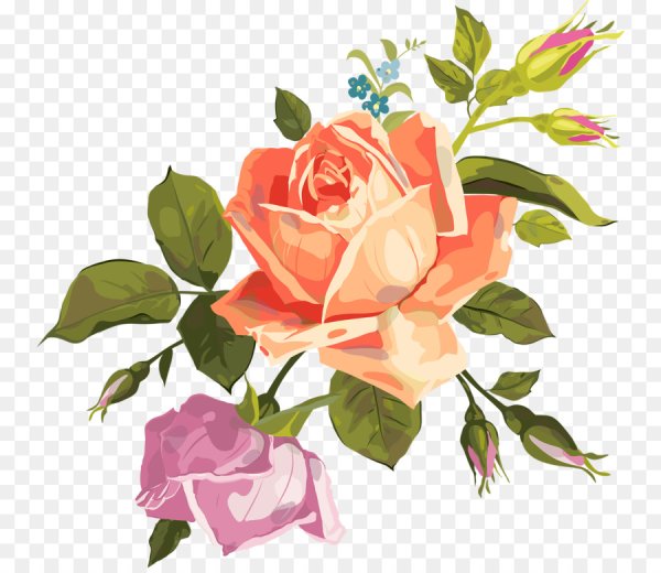 Цветы в векторной графике