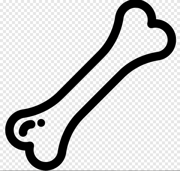 Косточка силуэт