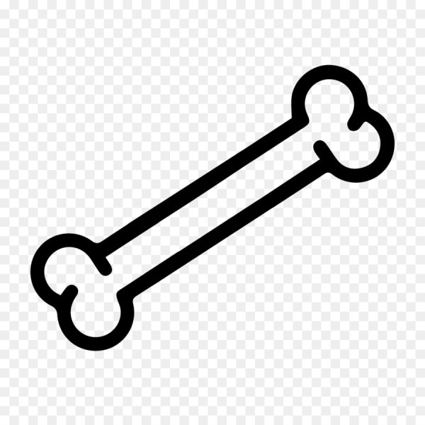 Кость вектор