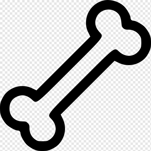 Кости вектор