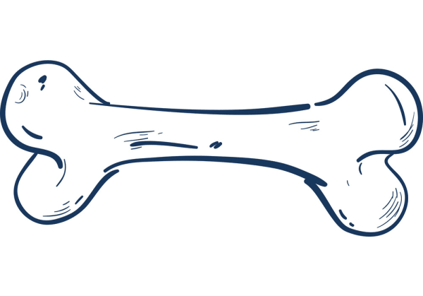 Косточка нарисованная