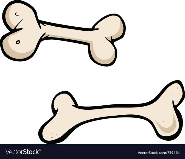 Кости ребенка