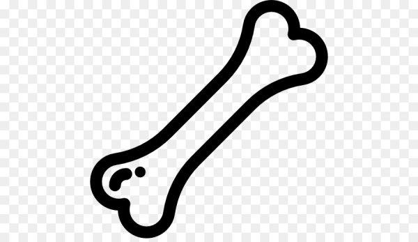 Нарисованная кость