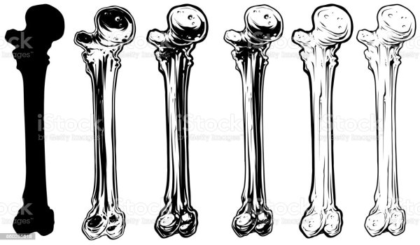 Кости черно белые