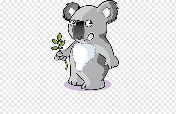 Коала рисунок