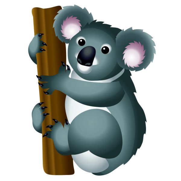 Коала Векторная Графика