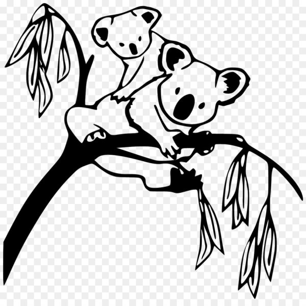 Коала черно белая