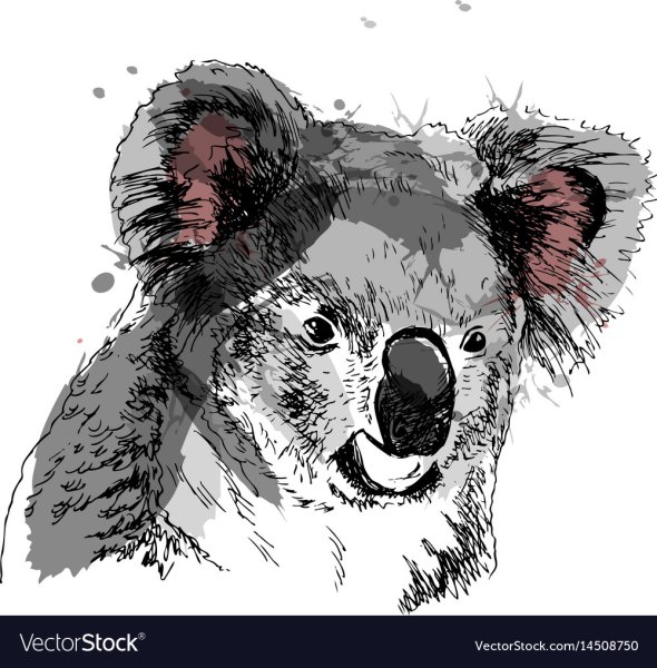 Злая коала вектор