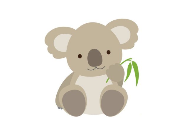 Коала на белом фоне